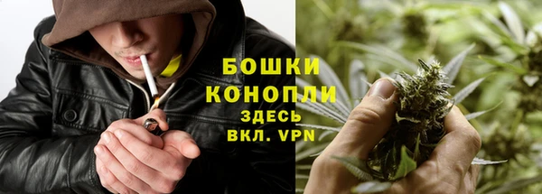 мдпв Липки