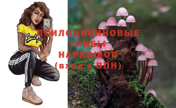 стафф Магадан