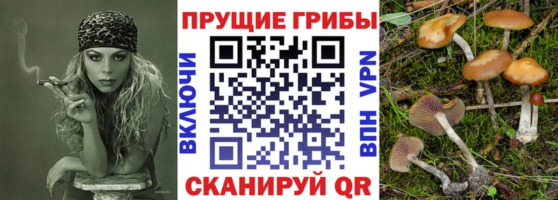 Псилоцибиновые грибы мухоморы  наркотики  Мещовск 